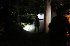 Macbeth en Foret 34 * 5760 x 3840 * (7.12MB)